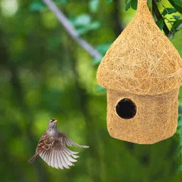 liveonce NATURAL HUT SHAPE BIRD HOUSE FOR ALL BIRDS PACK OF 8 Bird House image 2