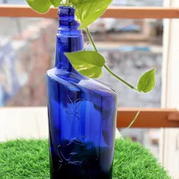 lusty soul Blue Plant Bottle\ Home Decorative Money Plant Bottle for Indoor Decoration Decorative Bottle-picture-24