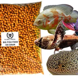 global green Aquarium Fish Pellets (Big 3mm Floating) | 100gm - Highly Nutritious Fish Food 0.1 kg Dry All Life Stages Fish Food-picture-47