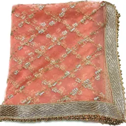 kamya fashion Net Embroidered Peach Women Dupatta-picture-41