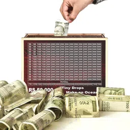 karni art Wooden Money Saving Box | Cash Saver with Counting Target (?50,000) Coin Bank-picture-37