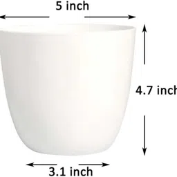 jaiveertraders 10 CP/5 Plant Container Set image 2