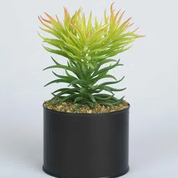 casacraft from pepperfry Yellow Green Polyester Elegant Artificial Succulent With Metal Pot image 2