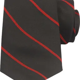 NEUROCLUB Silk Cufflink & Tie Pin Set-picture-12