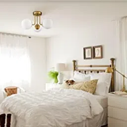 areezo Pendants Ceiling Lamp image 3