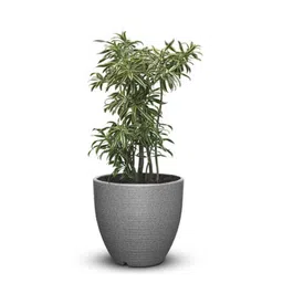 planters Iraka Small Grey Polymer Floor Planter image 2
