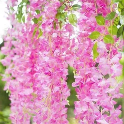 aloof Multicolor, Pink, Green Westeria Artificial Flower-picture-24