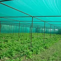 comfort planet Green Shade Net Size 10 x 8 Feet, net From Sunlight 90 % Shading. Portable Green House image 2