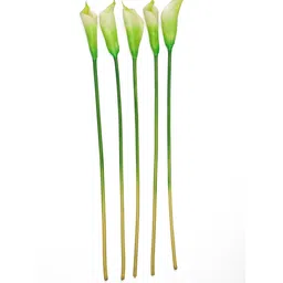 casacraft from pepperfry White Polyurethane Callalily Artificial Flower Pack of 5 image 4