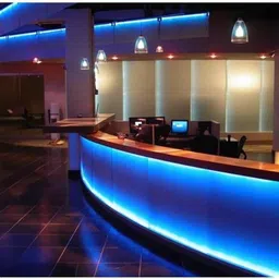 imago 300 LEDs 5 m Blue Steady Strip Rice Lights image 3