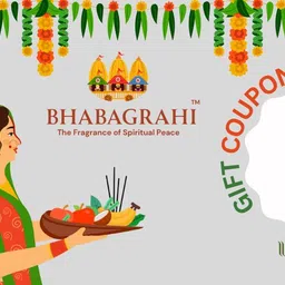 bhabagrahi Premium Charcoal Free Sandalwood Incense Sticks | Handmade Long Burning Agarbatti | Temple Grade Fragrance Sticks in Jar image 2