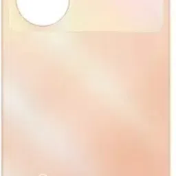 SlopK Vivo Vivo Y100(Glass) Back Panel-picture-18
