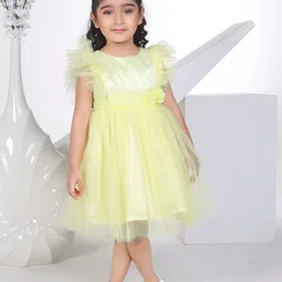 Peppermint Girls Round Neck Flutter Sleeve Net Fit & Flare Dress-picture-36