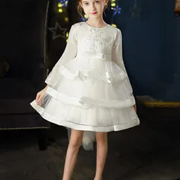 INCLUD White Embroidered Net Fit & Flare Dress image 2