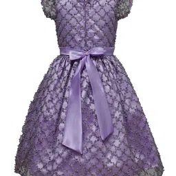 BAESD Embroidered Satin Maxi Dress image 2