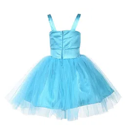 Samsara Couture Turquoise Blue Net Fit and Flare Dress image 2