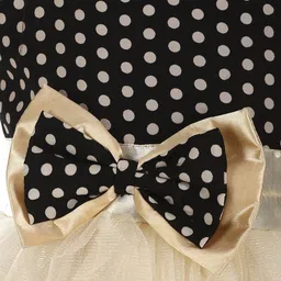 Samsara Couture Multicoloured Net Dress image 3