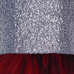 Samsara Couture Silver-Toned & Red Embellished One Shoulder Net Dress image 3