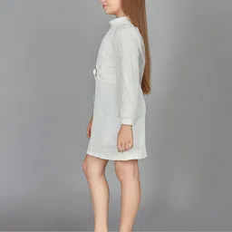 Peppermint Self Design Puff Sleeves A-Line Dress image 4