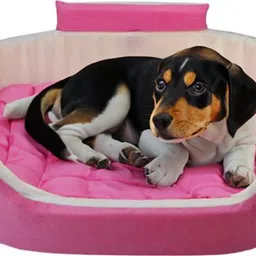 havens dream Dog Bed, Sofas Bed & Chairs Bed With Collur XXL Pet Bed-picture-31
