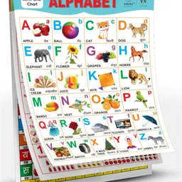 shini lifestyle Kids Spiral Chart with 16 Topics | Clear Fonts & Realistic Pictures-picture-18