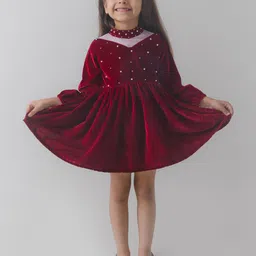 Fairies Forever Embellished Velvet Dress-picture-21