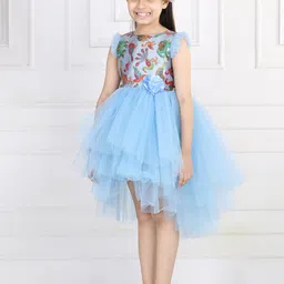 Toy Balloon kids Blue & Maroon Floral Printed Net Dress image 5