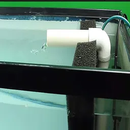 cgt XY-1038 Black Biochemical Filter Aquarium Water Filter Foam Water Tank Filter Sponge Size: 45x45x5CM Electrical Aquarium Cleaner image 4