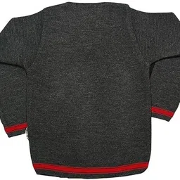 SHAURYA INNOVATION Grey Uniform Sweater image 2