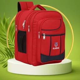 gladius School Bag for Boys & Girls | Large 17×13 Inch | (Class 3-10, Unisex) Waterproof School Bag image 1