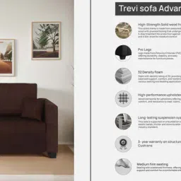 mintwud from pepperfry BIngo Fabric 2 Seater Sofa In Mahogany Colour image 4