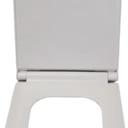 parryware Plastic Toilet Seat Cover-picture-19