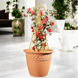 ecofynd Gold Star Planter Stand For Climbing Plants image 4