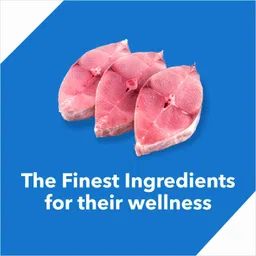 drools with Mackeral 3 kg Dry Adult Cat Food image 4