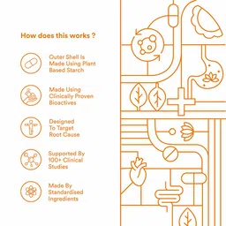 Origins Nutra Gut Restore (Pack of 3),  28 veggie capsule(s)  image 4