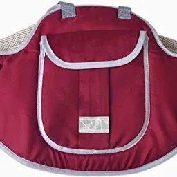 honest baby Safety Belt Baby Carrier image 2