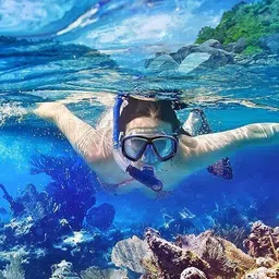 daji Snorkel Swimming Mask image 2