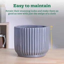 ugaoo Phoenix Grey Ceramic Planter image 4