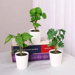 arick decor Pack of 3 Artificial Tabletops Potted Succulent Plants image 1