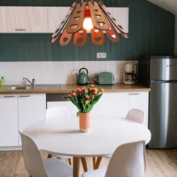 us dzire ™ 461 Artistic Ceiling Light Pendant lamp Shade (with Bulb) Handcraft Hanging Night Lamp for Home, & Office Pendants Ceiling Lamp image 2