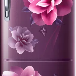 samsung 183 L Direct Cool Single Door 3 Star Refrigerator-picture-18