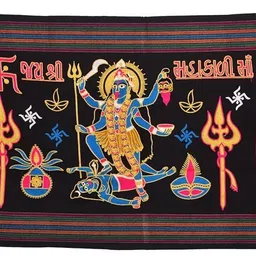 Navya Handicraft Wool Embroidered Women Shawl-picture-22