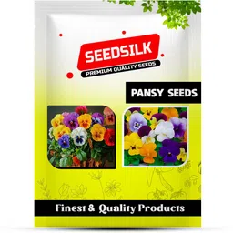 seedsilk Pansy Mixed Flower Hybrid Seed image 3