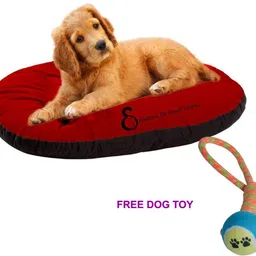 heaven luxurious Reversible Dual Soft Velvet Luxury Sofa PET Bed for Dog CAT Puppy Rabbit XXL Pet Bed-picture-13