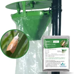 gaiagen Scirpo Combo Pack - Lure for RYSB & Funnel Trap-picture-28