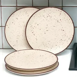 Pack of 4 Ceramic Dinner Set-image-6