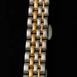 imperial shine Analog Watch - For Women Black dial two tone image 2