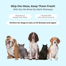 pure tails Pet Dry Bath Shampoo Anti-Bacterial, Anti-Inflammatory Aloe Vera & Coconut Dog, Cat Shampoo image 2