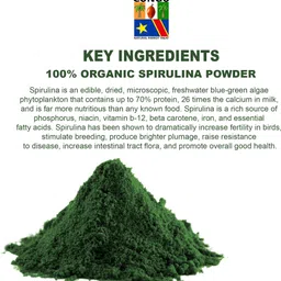 congo natural parrot treat Spirulina Powder to Provide Essential Proteins for Healthy 0.1 kg Dry Adult, Young Bird Food image 4