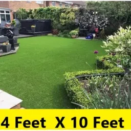 worthful creations Green Polypropylene Carpet-picture-34